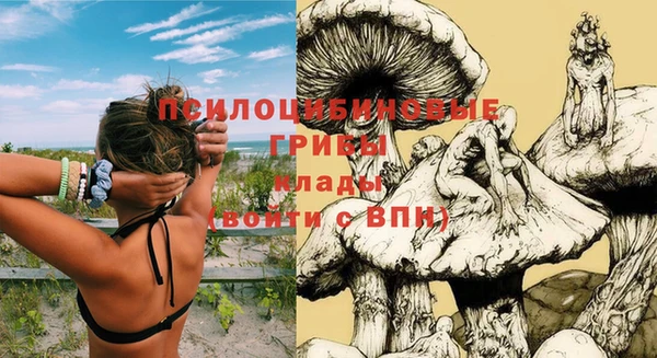 первитин Балахна