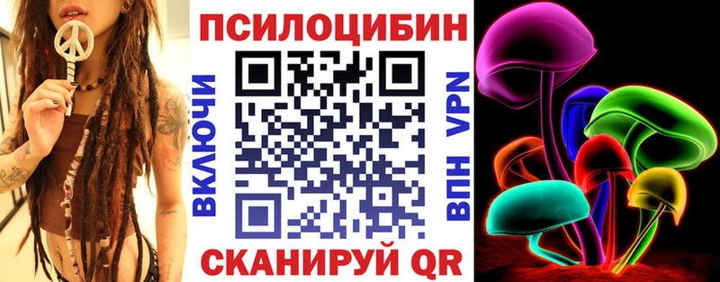 как найти закладки Красный Сулин Псилоцибиновые грибы Magic Shrooms